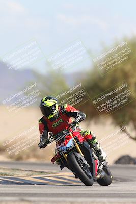 media/Oct-13-2025-Moto Forza (Mon) [[a66d839500]]/3-B Group/Session 4 Turn 4 Tree of Life/